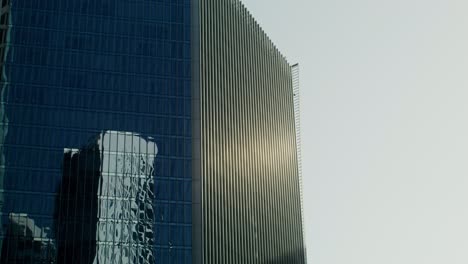 modern skyscrapers in the city