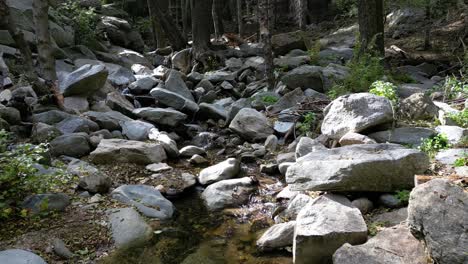 tranquilo arroyo que fluye a través de rocas y árboles - naturaleza relajante - heartrock en crestline california