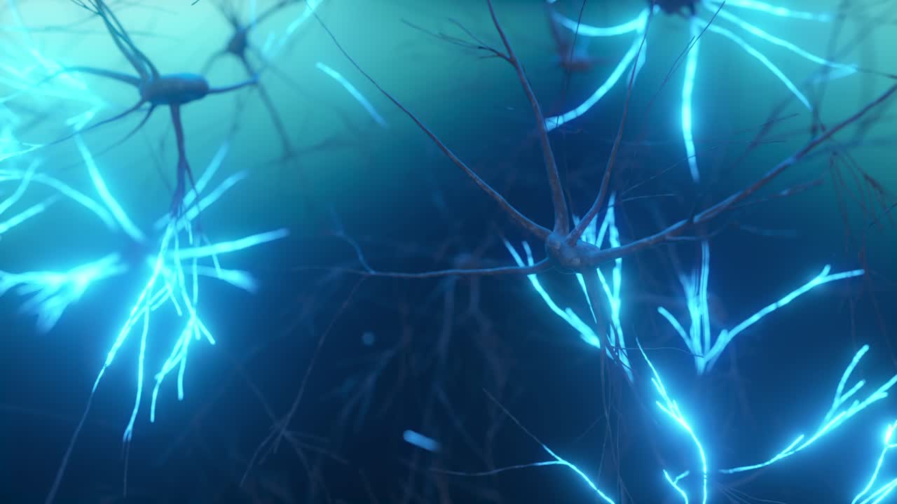 neuronas en el sistema nervioso