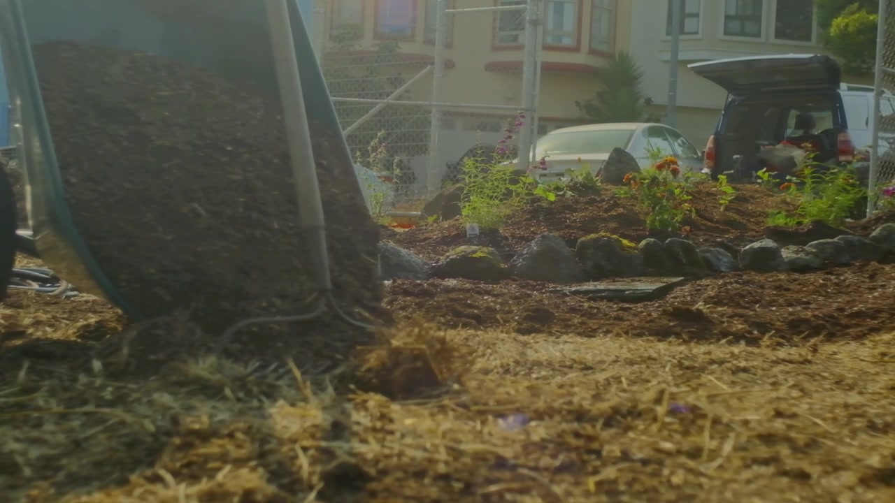 La vita lenta di un giardino contrapposta allo sfondo della città.
