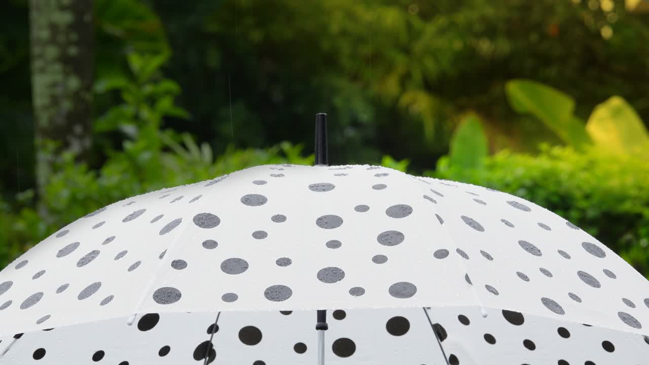 paraguas de puntos en la lluvia, concepto de gestión de riesgos.