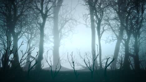 mystical horror background with dark blue forest and fog abstract backdrop