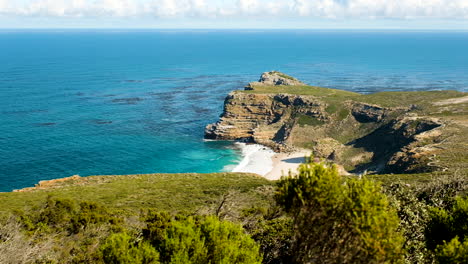 slider shot behind fynbos reveals diaz beach at cape point, south africa