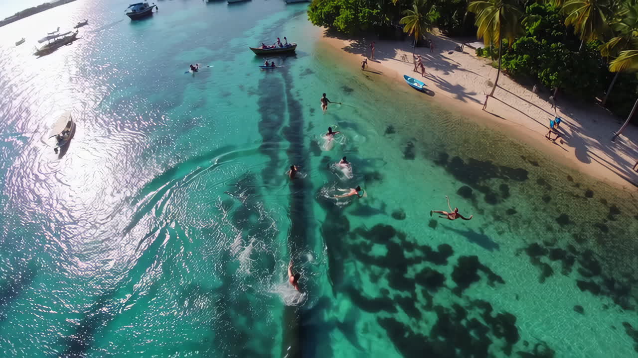 Tropical Island Paradise with People Relaxing