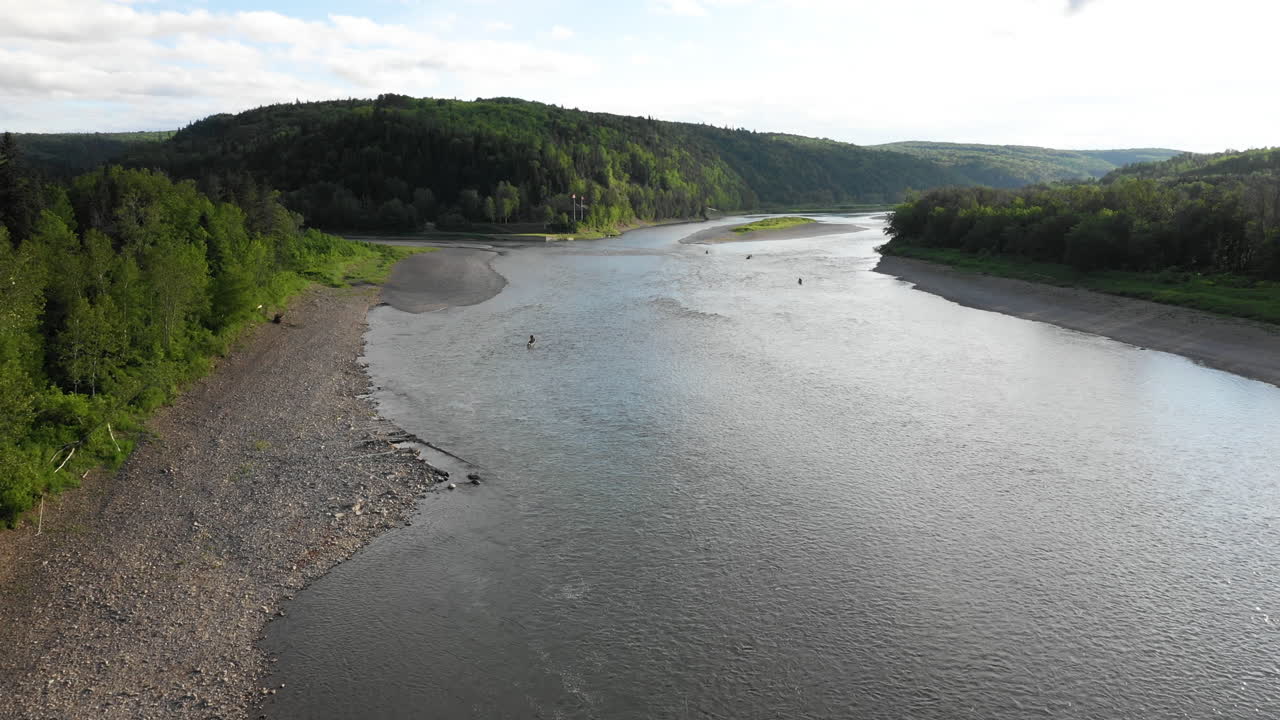 Droneoptagelser fra luften af fluefiskeri ved Restigouche River, New Brunswick, Canada