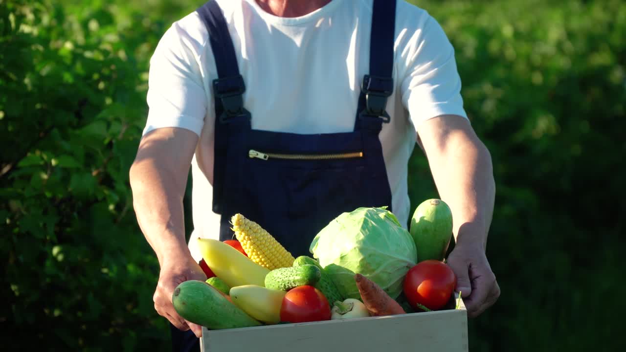 가을 계절에 유기농 채소와 함께 시니어 농부. 가을 수확 cornucopia 농업. 추수감사절