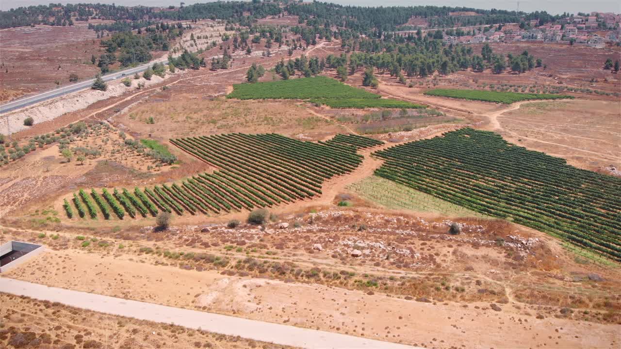 vista aérea de un paisaje de viñedos