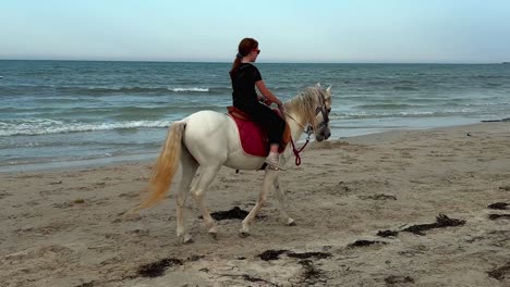 redhead little girl rides white horse along seashore