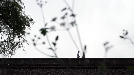 el romance de una pareja casada visto desde la distancia con malezas en primer plano