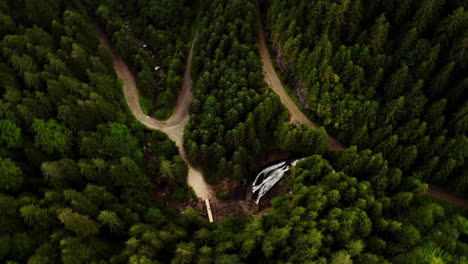 green forest pine trees, trail path and waterfall at vladeasa peak and bride's waterfall region romania, aerial top down orbital view