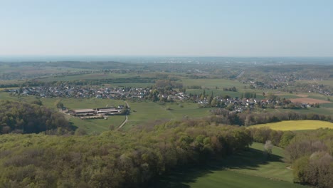 drone - panorama aéreo vuela sobre una pradera con hierba, árboles, arbustos y colza amarilla 25p