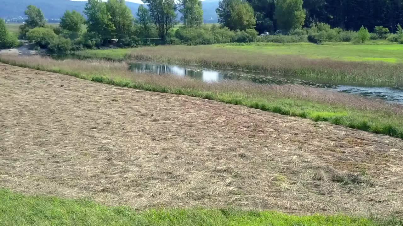 슬로베니아의 체르크니카 호수에 있는 간헐적 호수의 드라이 컷 들판 위의 공중