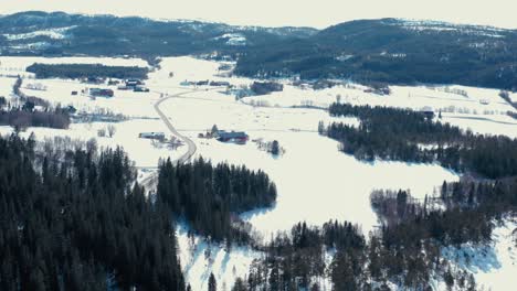 Fly-Back-Over-Trees-And-Mountains-During-Winter-Covered-With-Snow