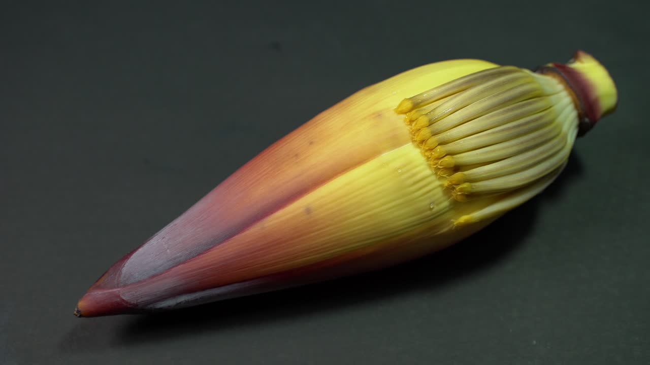 flor de plátano rica en nutrientes o flor de plátano o moca tiene muchos beneficios nutricionales