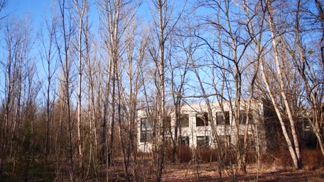 dilapidated abandoned concrete building behind brown winter trees, pripyat chernobyl