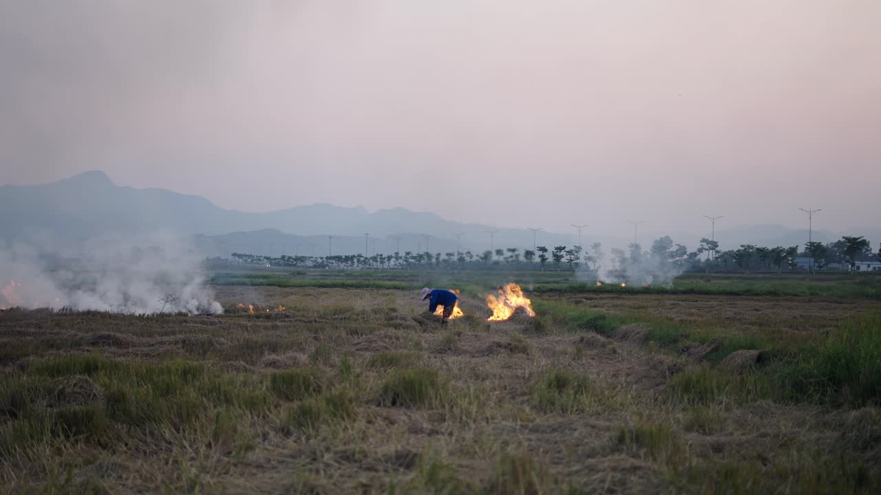 Farmer Burning Rice Stubble