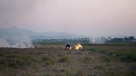 farmer burning rice stubble