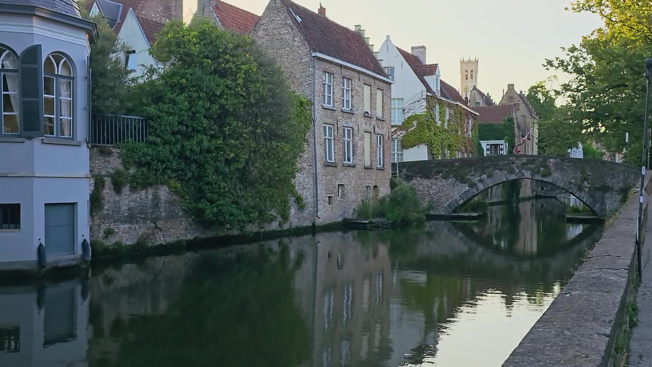 Maleriske Heidelberg, Tyskland, med den gamle bykanal med historiske murstenshuse, en stenbuebro, grøn vedbend, blomsterkasser, løvtræer og stille refleksioner på fredfyldt vand ved solnedgang.