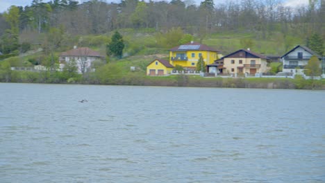 birds flying over the river in daytime