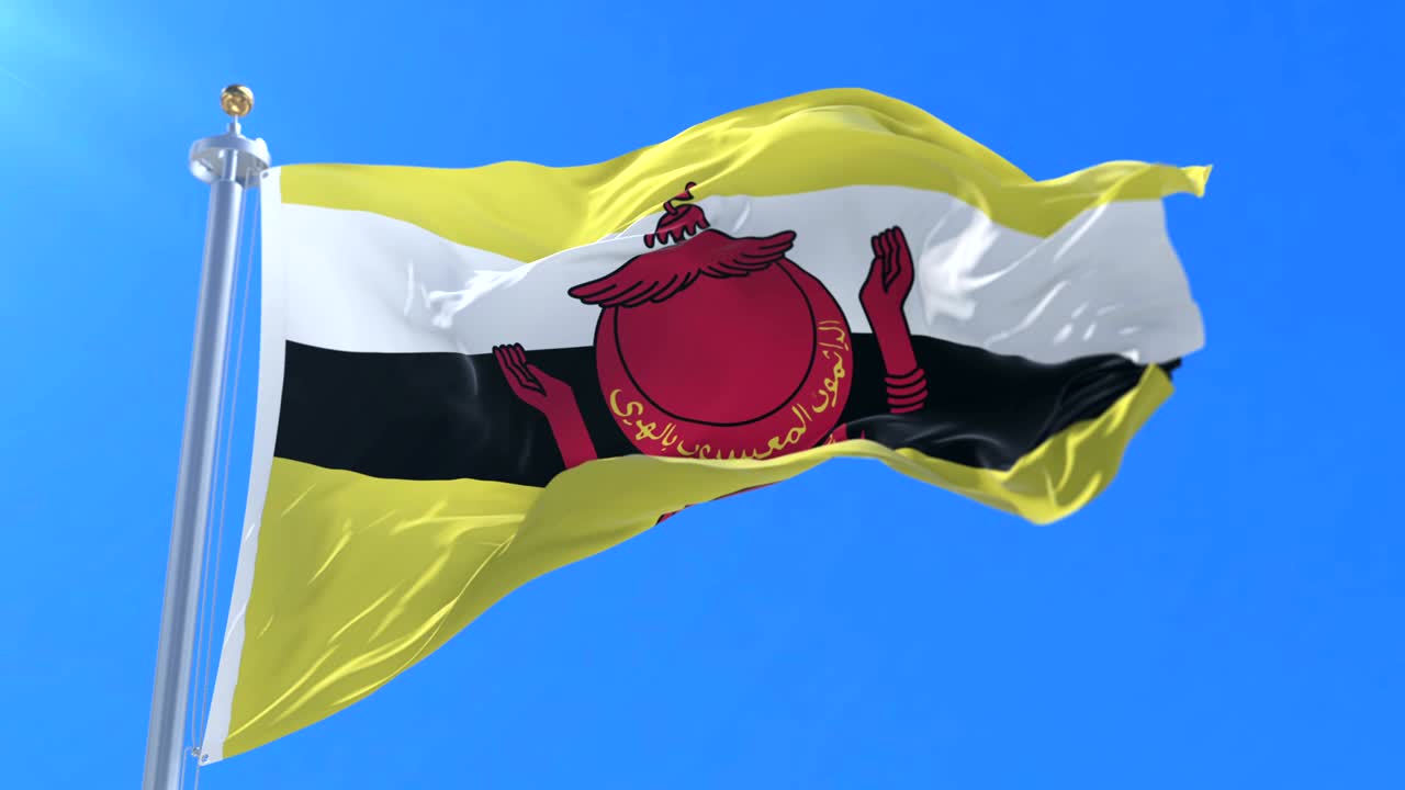 브루나이 발이 느리게 바람을 향해 흔들리고 있습니다.