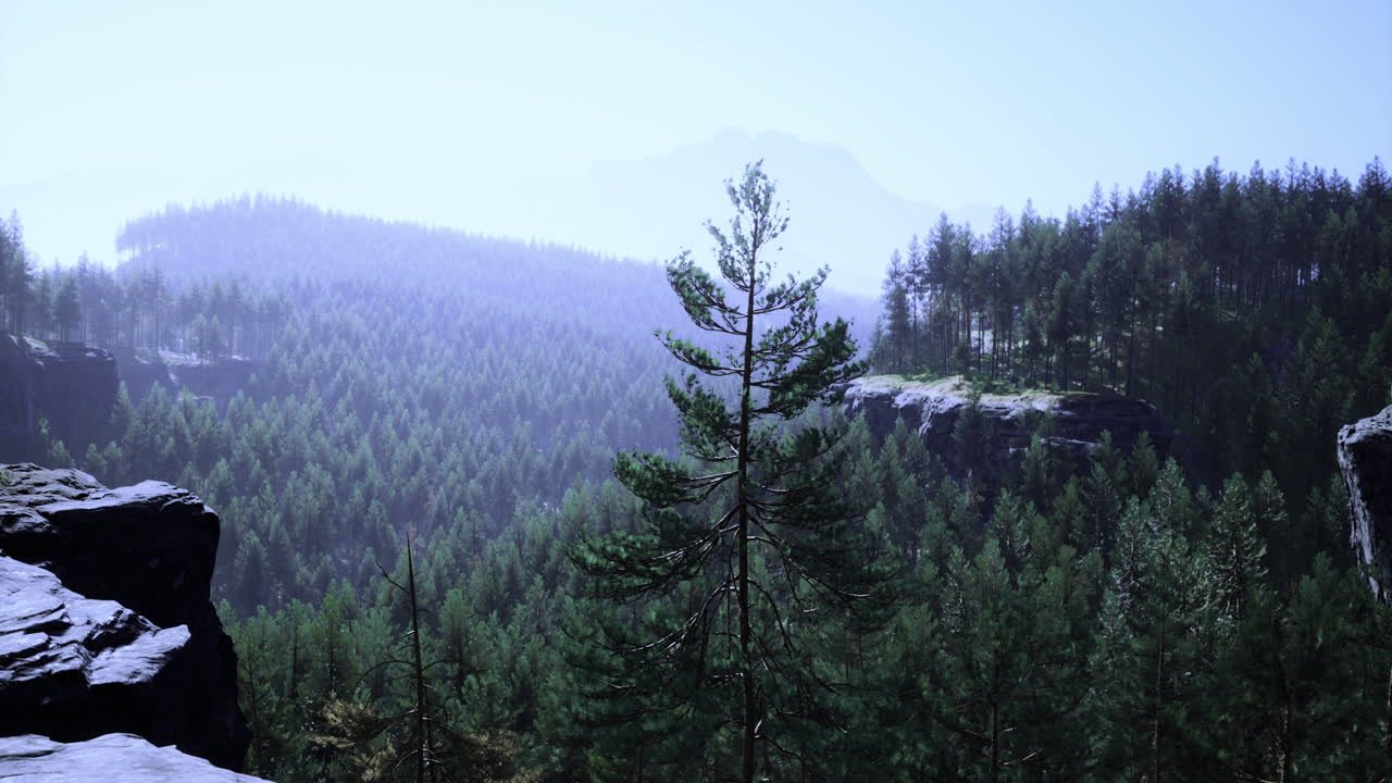 Scenic Forest Landscape with Mountains