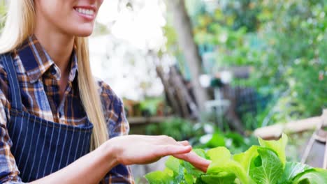 Gardener-holding-potted-plant