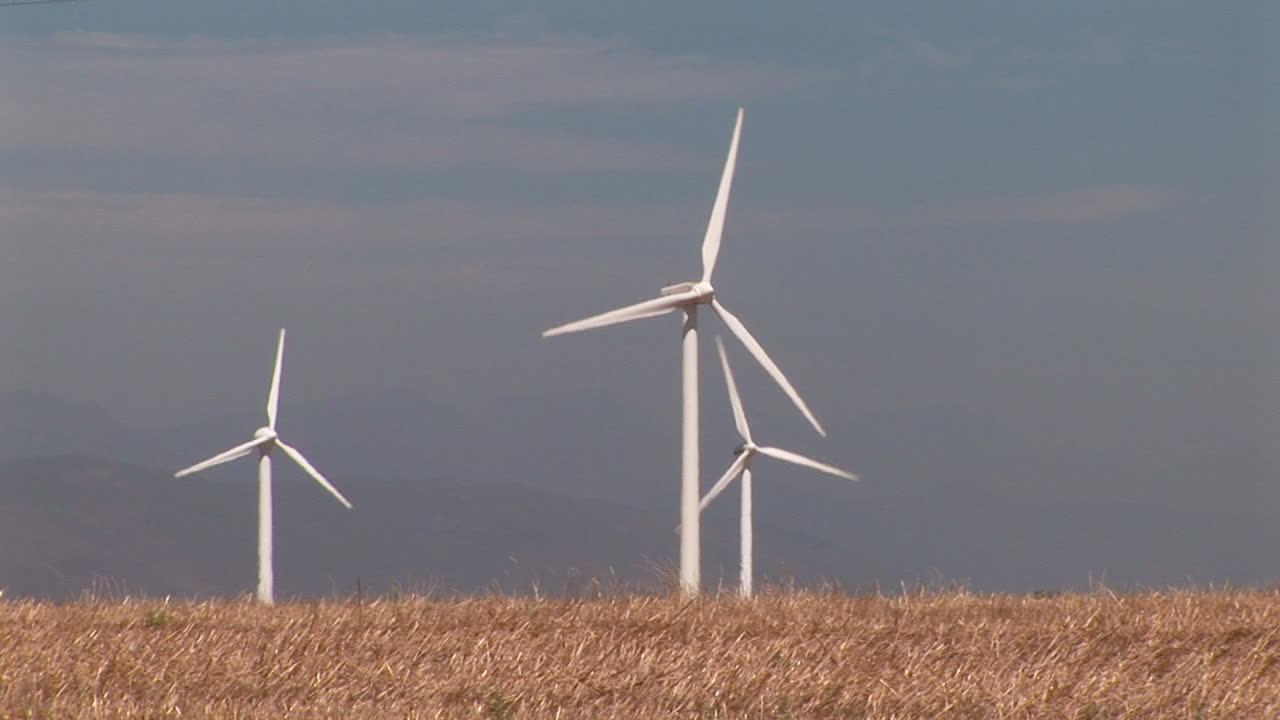 Wind turbines in wheat fields