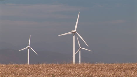 wind turbines in wheat fields