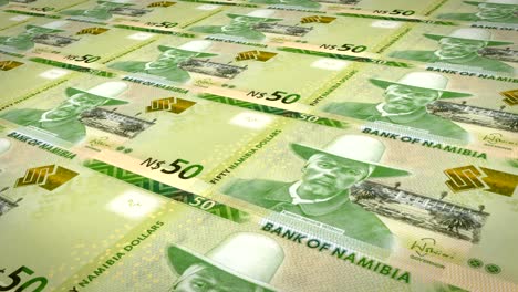 billetes de cincuenta dólares namibianos de namibia, dinero en efectivo, bucle