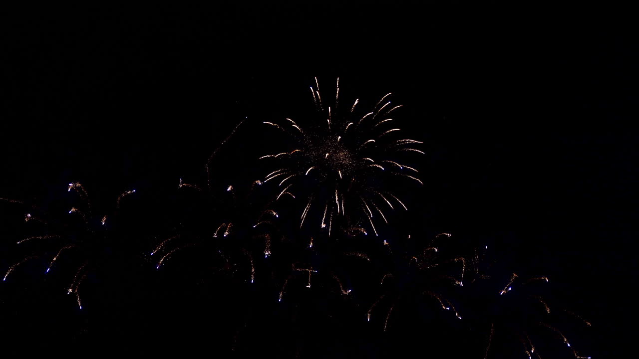 Colorful Firework display at night on sky background