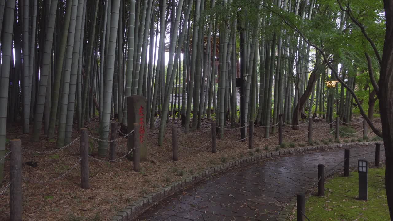 In many Buddhist temples in Japan there are bamboo forests that are ideal shelters to find a cool environment in hot summers.