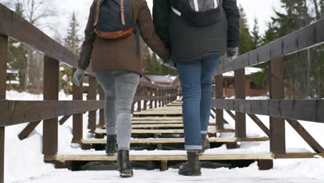 couple holding hands and walking through a wooden stair in the outdoors in a winter scene full of snow, winter vacation concept