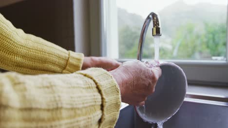 Old-lady-washing-a-bowl-in-kitchen-sink-4K-4k