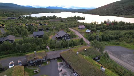 houses with green roofs on the lake in norway