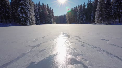 frozen lake in a snowy forest