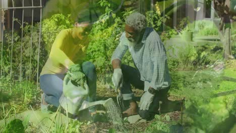 animation of leaves and water over african american couple working in garden