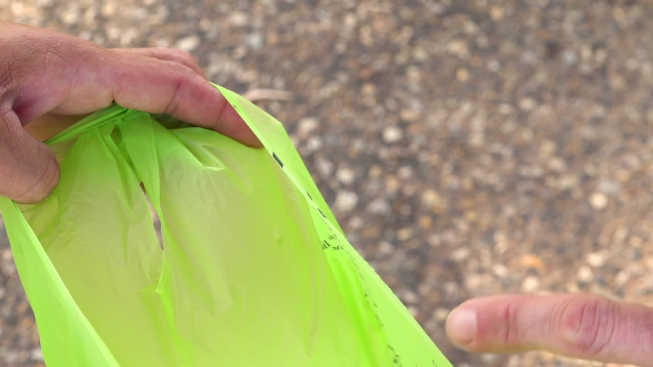 plato de alimentos a base de plantas que se arroja en una bolsa de basura, de cerca
