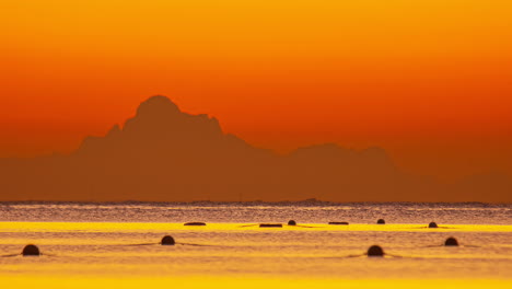 commercial fishing net in lake at vibrant sunset