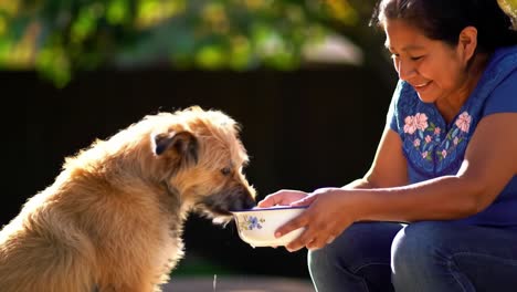a heartwarming moment between a woman and her dog as they share a meal together, capturing the bond of trust and love in a serene outdoor setting