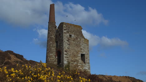 Looking-up-to-Tywarnhayle-Mine-Engine-house-in-Cornwall-over-Spring-Heathland