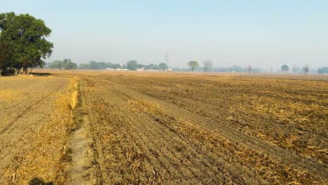 Agriculture-land-is-ready-to-sowing-another-crop-after-harvesting