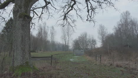 abandoned farm entrance in 4k