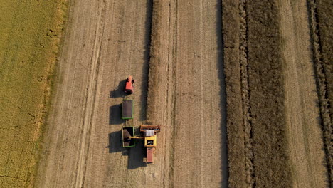 Cosechadora-Carga-Trigo-En-Camión-En-Cosecha-En-Verano,-Vuelo-Aéreo-De-Drones