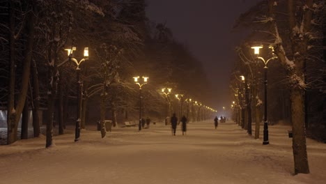 Car-drive-and-people-walk-on-snowy-park-alley-with-glowing-lights,-time-lapse