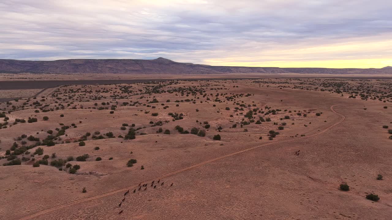 Wide drone shot of wild horses following a dirt road through the vast high desert. The herd travels under a dramatic cloudy sky towards distant mountains, capturing the epic scale of the frontier