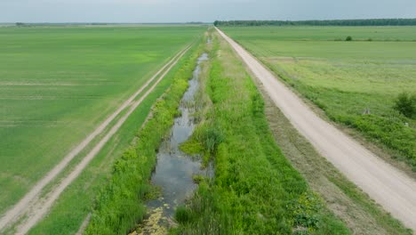 Vista-Aérea-De-Establecimiento,-Campo-De-Grano-En-Maduración,-Agricultura-Orgánica,-Paisaje-Rural,-Producción-De-Alimentos-Y-Biomasa-Para-Una-Gestión-Sostenible,-Día-Soleado-De-Verano,-Disparo-De-Drones-Avanzando-Inclinado-Hacia-Abajo