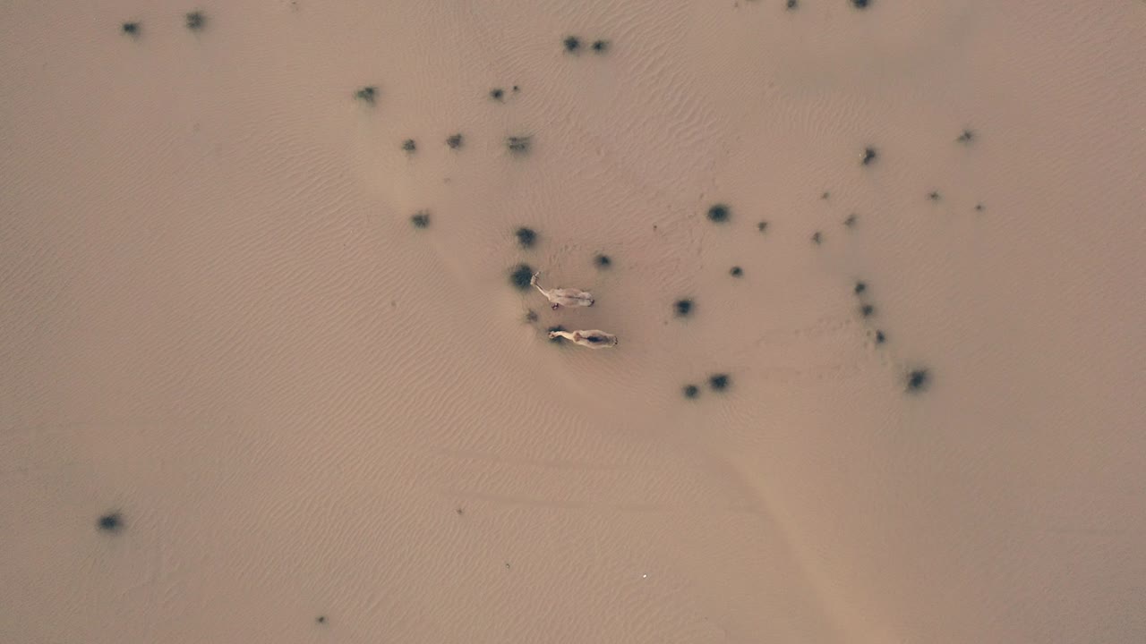 4k 드론 영상, 사막 사이의 도로, 두바이의 반 사막 도로, 아랍에미리트의 높은 모래 언덕 사막의 지질적 풍경, 드론 비디오