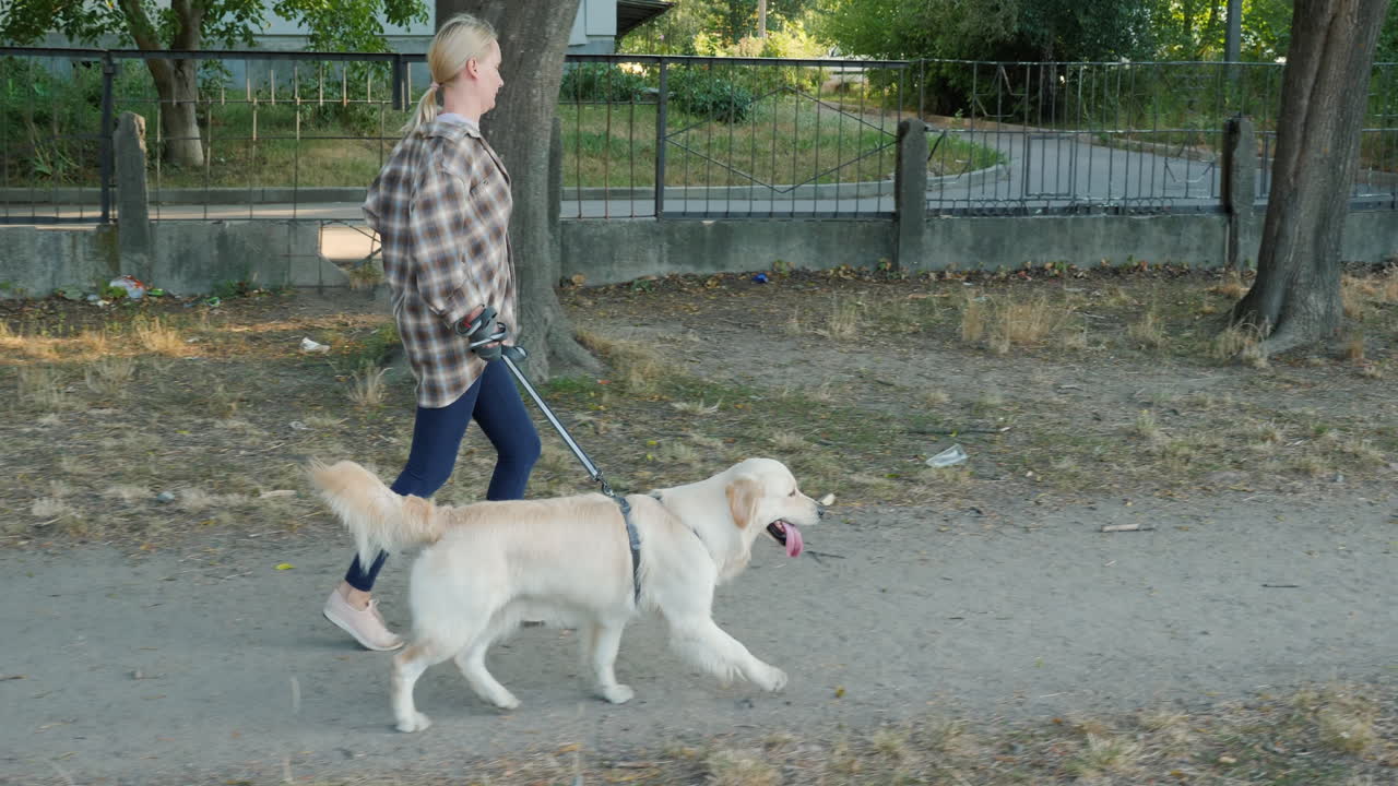 mujer caminando golden retriever en el parque