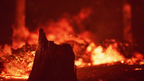 Grandes-Llamas-De-Incendio-Forestal