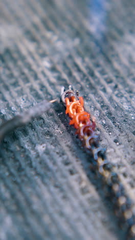 cu: professional jeweler works with decorative gold chain part using tool and gas burner on fireproof sheet close view